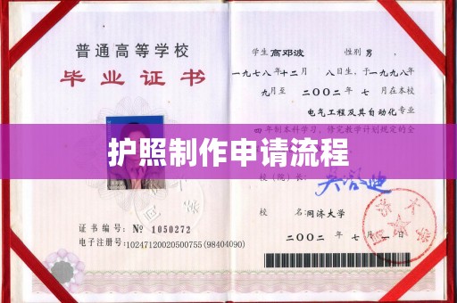 阿拉山口护照制作申请流程
